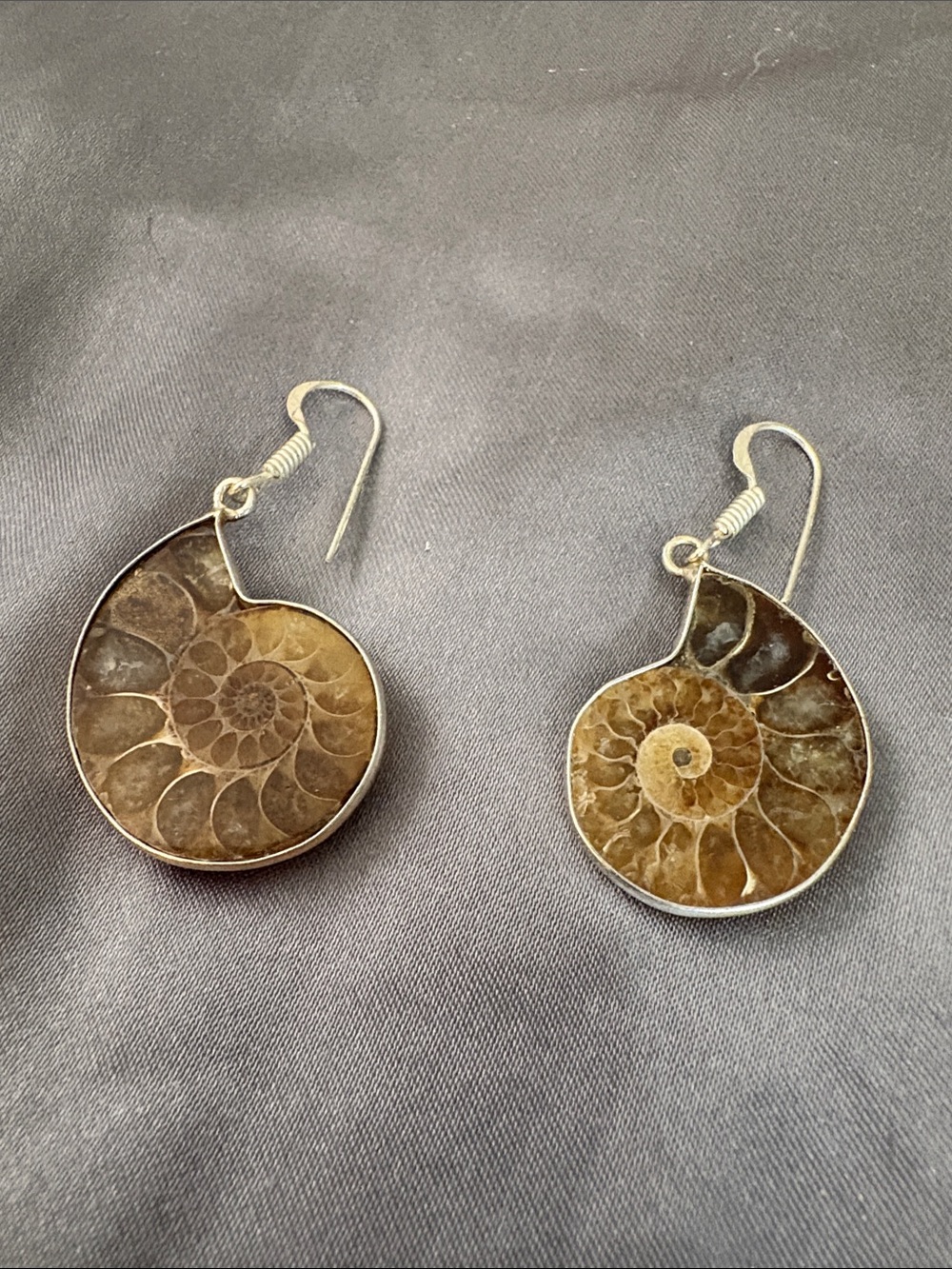Ammonite Fossil Drop Earrings